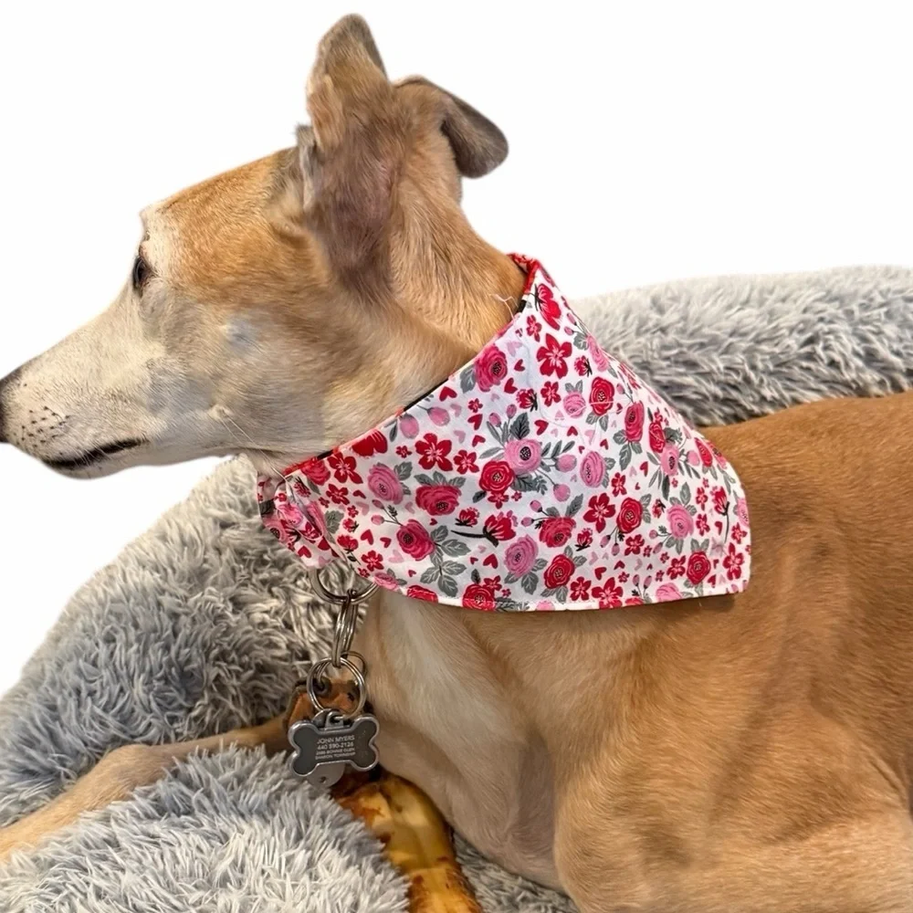 Floral and Hearts Reversible Scrunchie Handmade Dog Bandana - Pink and White